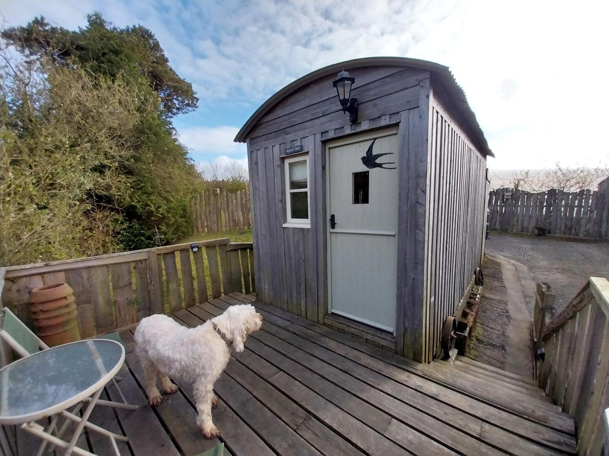 Meadowbeck - Shepherd Huts Fylingdales المظهر الخارجي الصورة