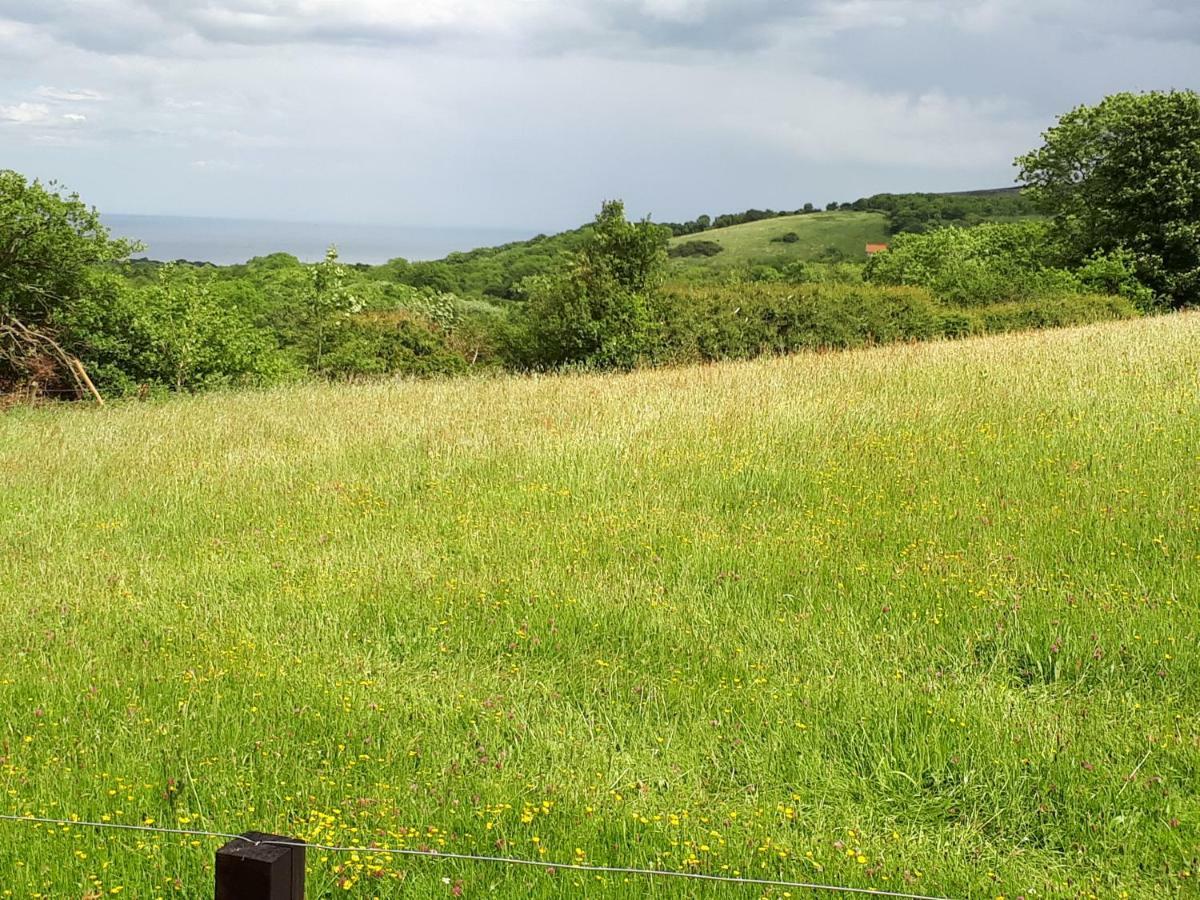 Meadowbeck - Shepherd Huts Fylingdales المظهر الخارجي الصورة